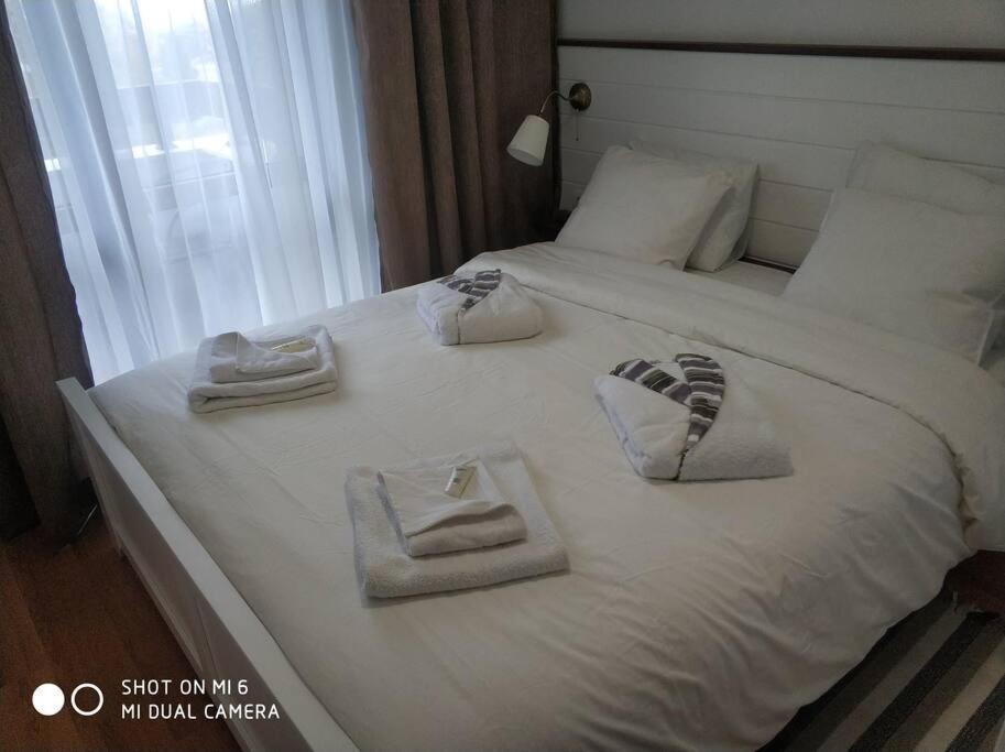 Belvedere Holiday Club 106G بانسكو المظهر الخارجي الصورة