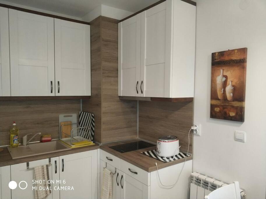 Belvedere Holiday Club 106G بانسكو المظهر الخارجي الصورة